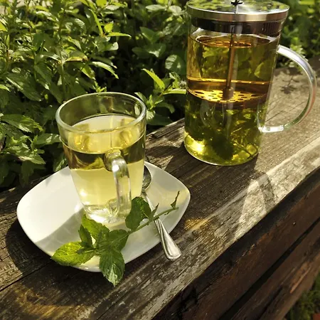 Appartement Lehmhof-lindig