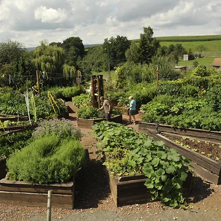 Appartement Lehmhof-lindig Kahla (Thuringia)
