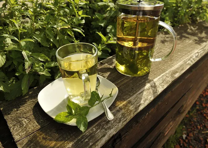 דירה Lehmhof-lindig