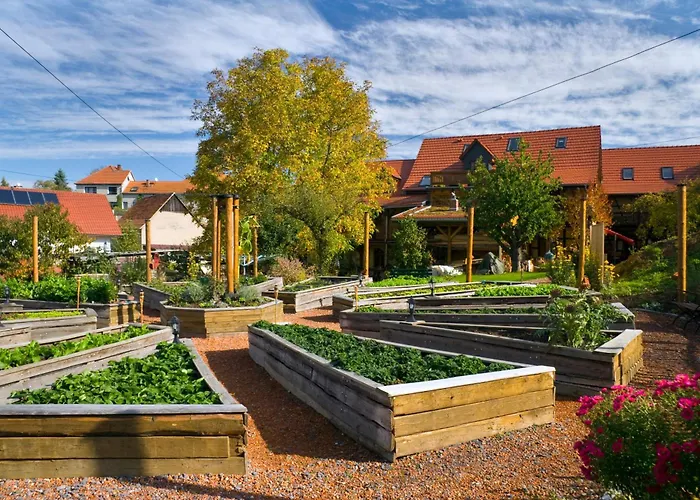 Lehmhof-lindig Daire