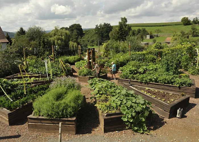 Daire Lehmhof-lindig Kahla (Thuringia)